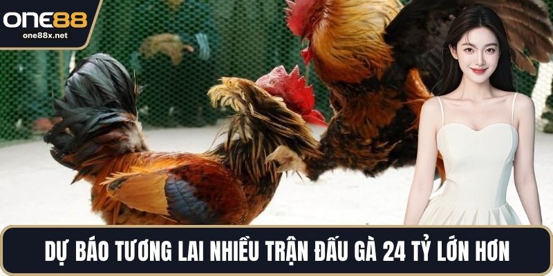 Dự báo tương lai nhiều trận đấu gà 24 tỷ lớn hơn