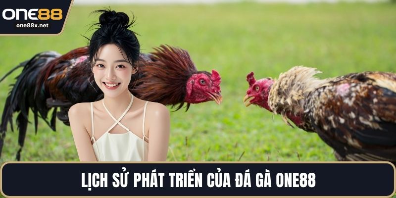 Lịch sử phát triển của đá gà ONE88