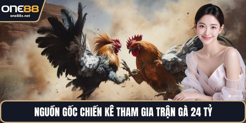 Nguồn gốc chiến kê tham gia trận gà 24 tỷ