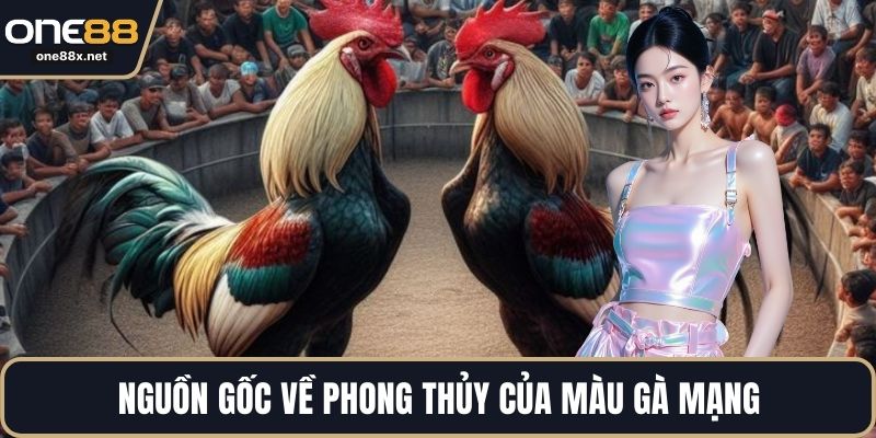 Nguồn gốc về phong thủy của màu gà mạng