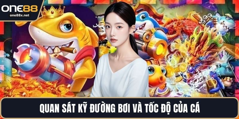 Quan sát kỹ đường bơi và tốc độ của cá