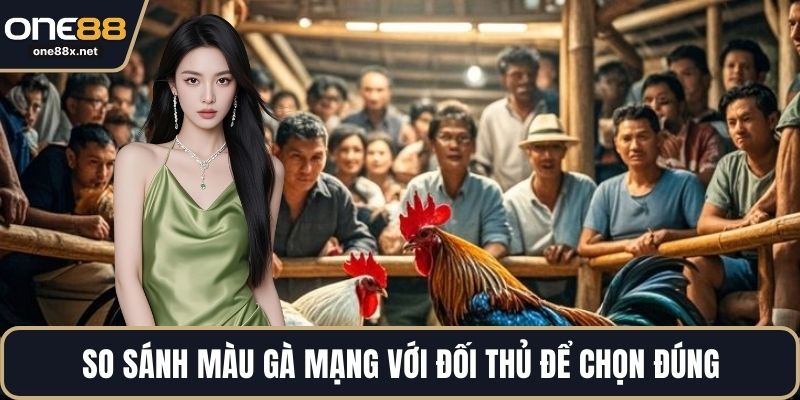 So sánh màu gà mạng với đối thủ để chọn đúng