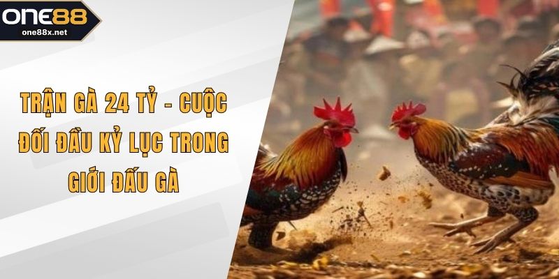 Trận gà 24 tỷ